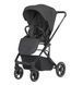 Прогулянкова коляска CARRELLO Alfa CRL-5508 BF Graphite Grey /1/ 105780 фото 2